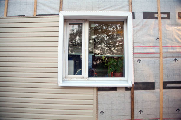 Best Custom Trim and Detailing for Siding  in Keewatin, MN